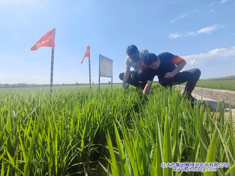 微信图片_20260626075911.jpg 微信图片_20260626075911.jpg