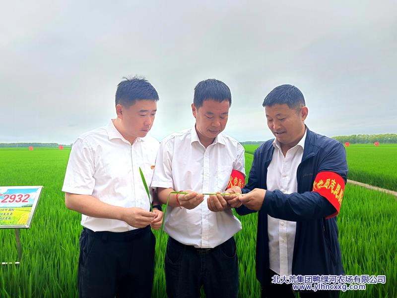 微信图片_20260724075502.jpg 微信图片_20260724075502.jpg