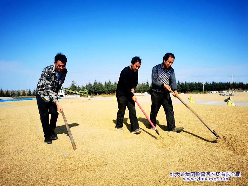 IMG_20201010_102900_副本.jpg