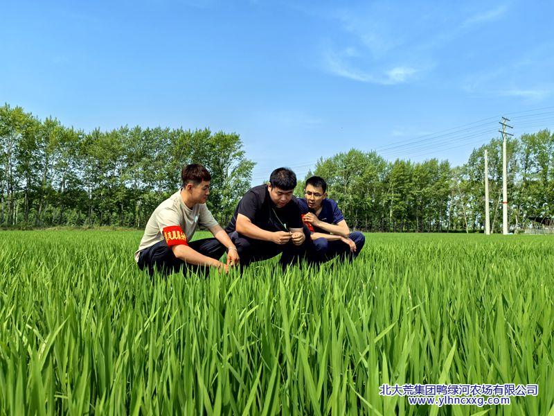微信图片_20250627094300_副本.jpg