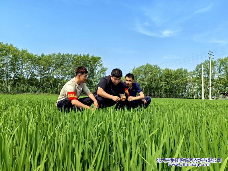 微信图片_20250627094259_副本.jpg 微信图片_20250627094259_副本.jpg