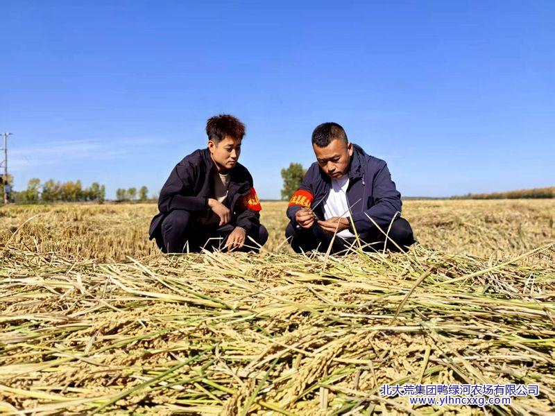 微信图片_20250928090905_79_109_副本.jpg